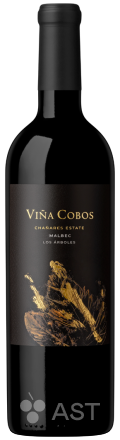 Vina Cobos Malbec Chanares Estate