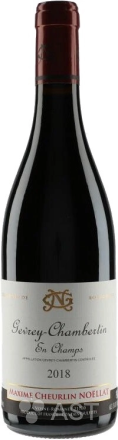 Domaine Georges Noellat Gevrey-Chambertin En Champs