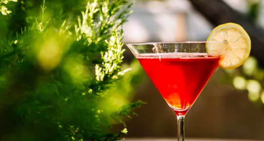 Cosmopolitan — икона барной культуры. История и классический рецепт