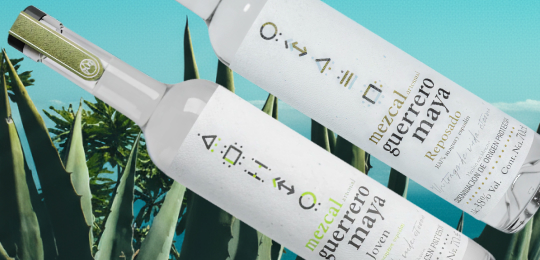 Национальный день мескаля