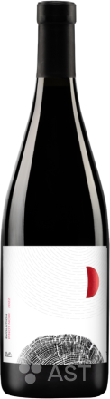 Aya Organic Wine · Evolution Pinot Noir