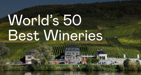 50 лучших виноделен мира 2025 по версии Forbes