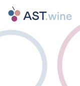 Пакет AST плотный с вырубной ручкой