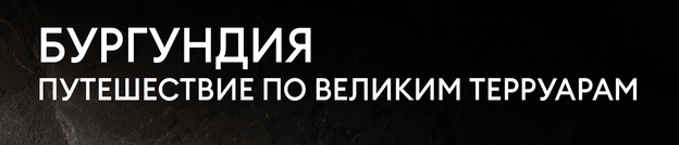Вина Бургундии