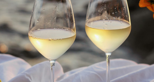 Грюнер вельтлинер — вино этой весны