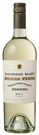 Buena Vista · Sauvignon Blanc (AVA)