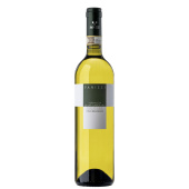 Panizzi Vernaccia di San Gimignano Panizzi Vernaccia di San Gimignano