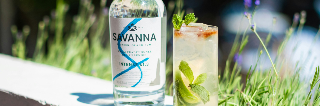 Путешествие по стилям Savanna