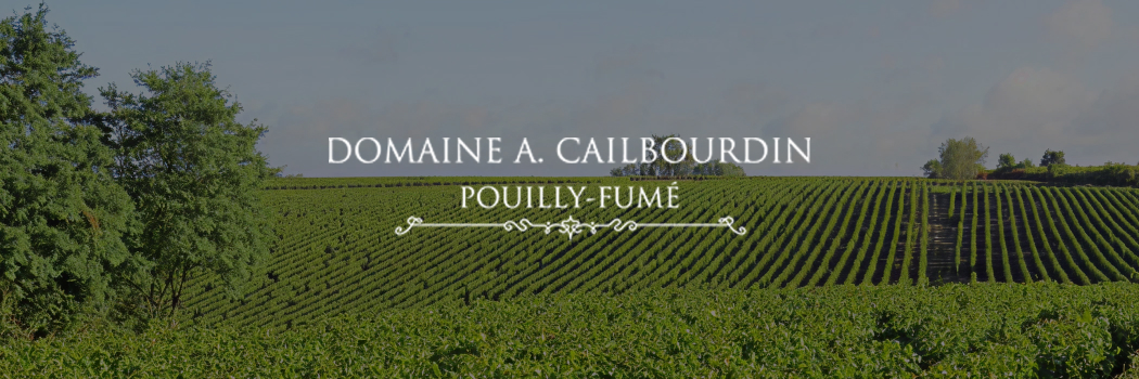 Domaine Cailbourdin: минеральность и ничего лишнего.