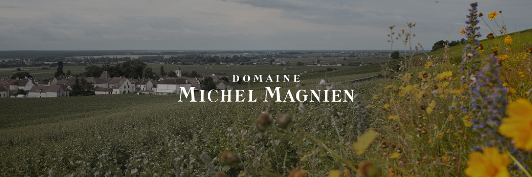 Domaine Cailbourdin: минеральность и ничего лишнего.